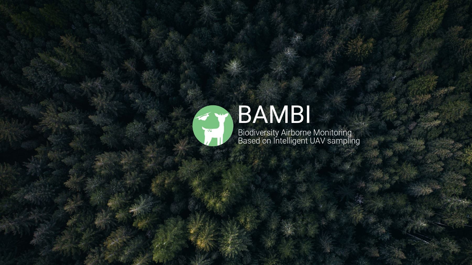 The BAMBI logo on a forest background.